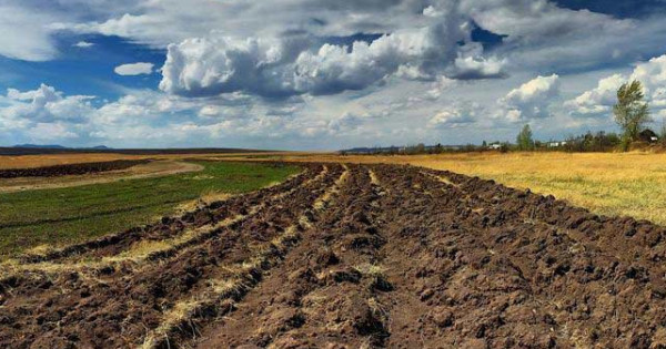 agri-land